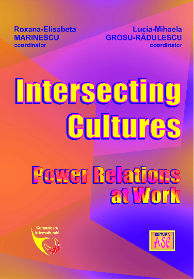 Intersecting Cultures. Power Relations at Work